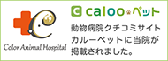 Calooペット