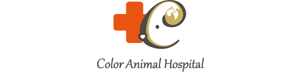 カラー動物病院 Color animal hospital
