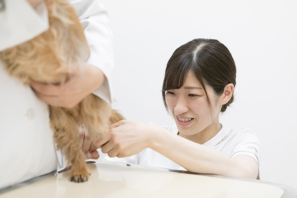 カラー動物病院スタッフ